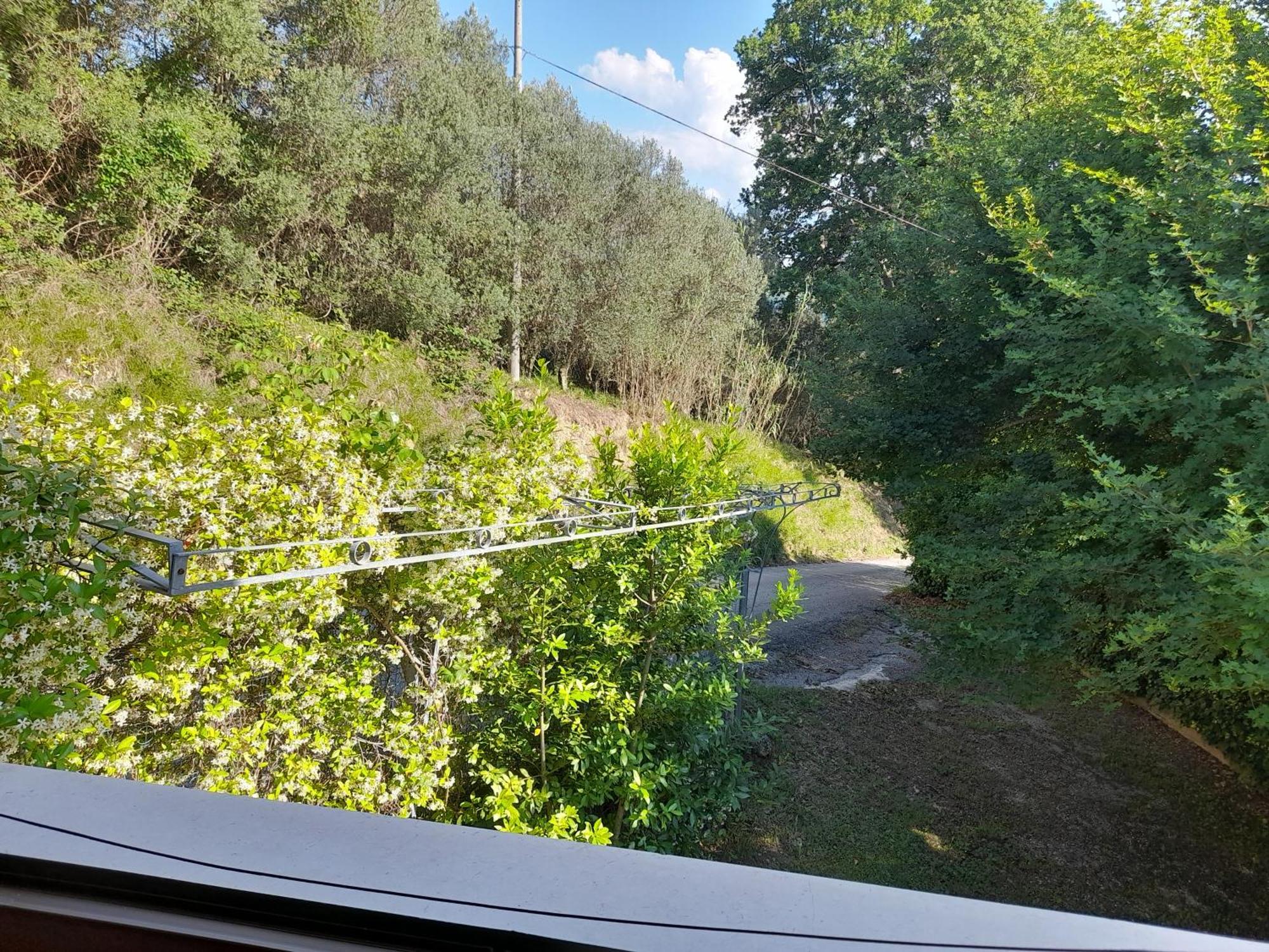 Camping Agriturist Sant'Anna Castelplanio Chambre photo